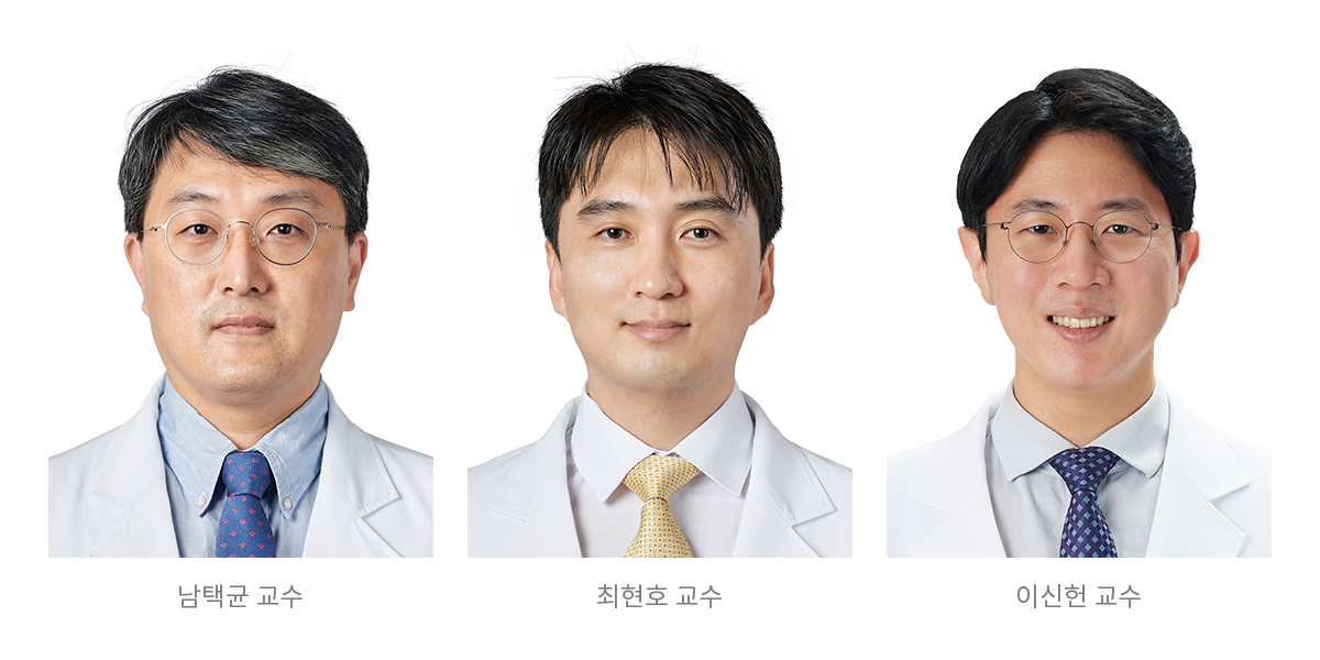 남택균, 최현호, 이신헌 교수