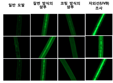 모발 표변 하이드록시 라디칼 비교