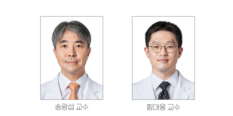 송광섭_함대웅교수