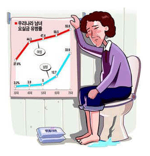 우리나라 남녀 요실금 유병률. 
