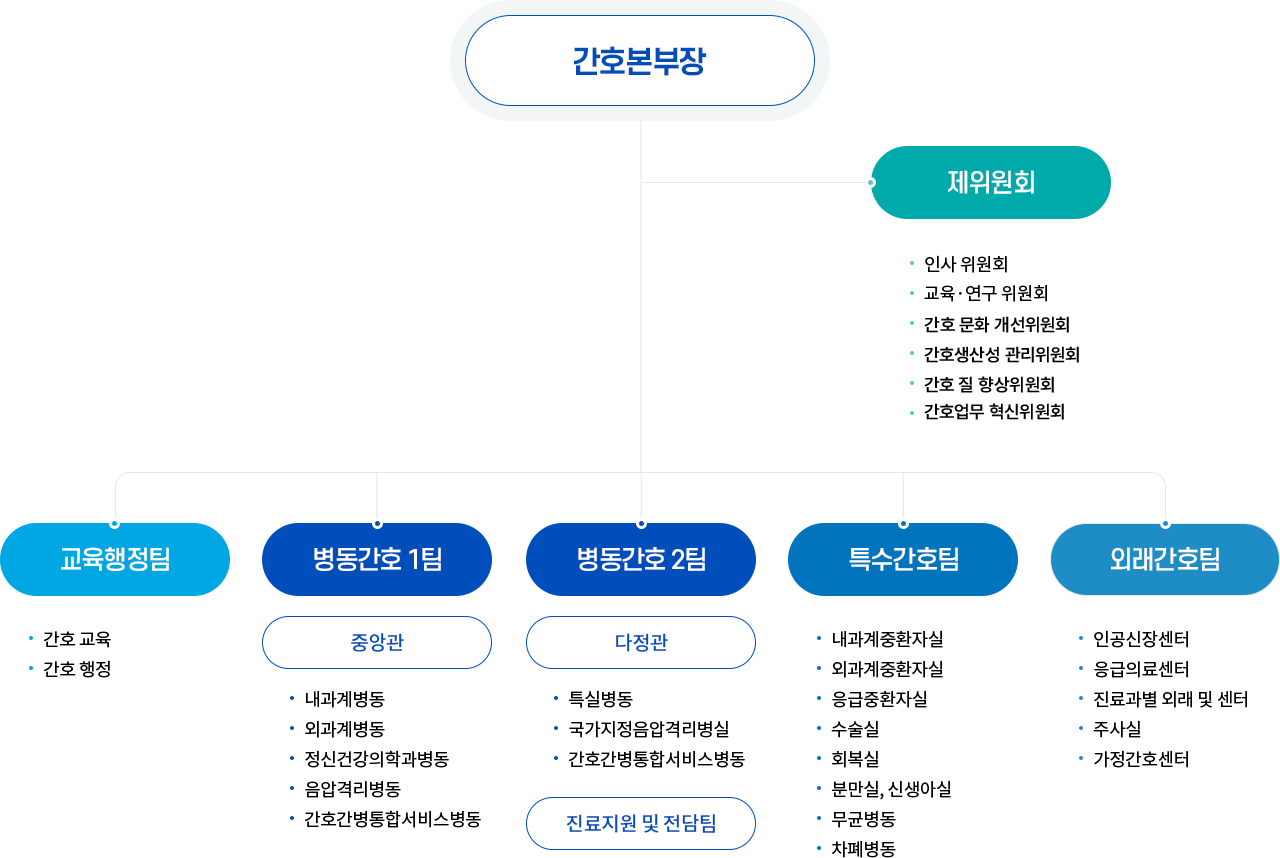 간호부서의 조직도는 간호부장과 그 아래 제위원회, 외래간호팀, 간호교육행정팀, 병동간호팀, 특수간호팀으로 구성되어있다. 먼저 제위원회의 구성으로는 인시위원회, 교육연구위원회, 업무표준위원회,cem위원회, 안전관리위원회,특별위원회가 있다 외래간호팀의 구성으로는 외래가 있으며 외래에는 akc,er,진료각과,갑상선센터, javascript:void(0);소화기센터, 심장혈관센터, 장기이식센터, 척추센터, 가정간호실, 당뇨교육실, 쇄석기실, 종양협진클리닉, 주사실이 있고, 간호교육행정팀의 구성으로는 교육실무 및 행정이 있다. 병동간호팀의 구성으로는 병동이 있으며 이 병동은 중앙관과 다정관으로 나뉘어져있다. 또 특수간호팀은 dl,nr,nicu,sicu,micu,or,rr,무균병동으로 구성되어있다